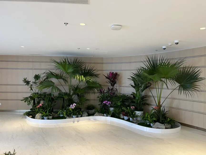 宁波鄞州盆景出租哪家靠谱？资深玩家来揭秘！